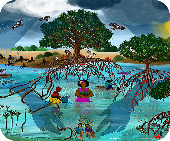 Mangrove Illustration for Women’s fund fiji